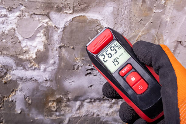 Best Mold Testing  in Gray, LA